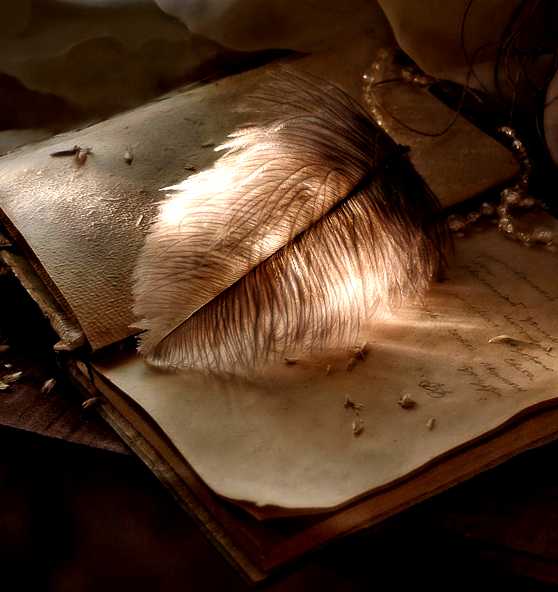 моя записная книжка